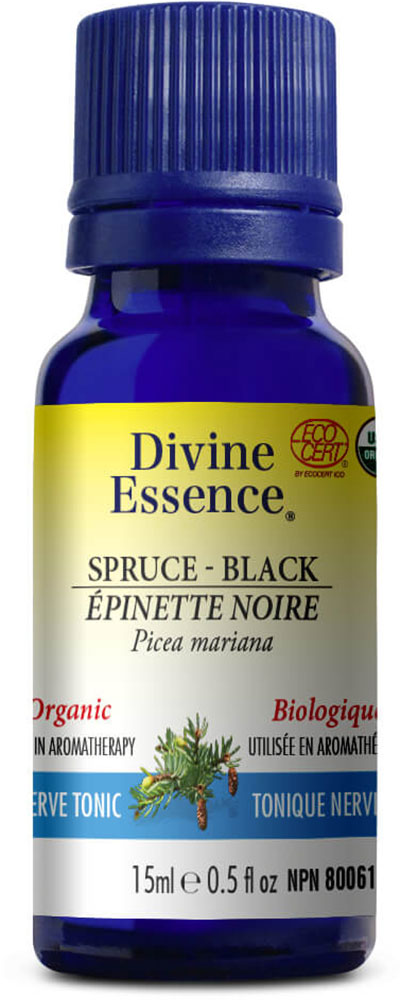 DIVINE ESSENCE Spruce - Black (Organic - 15 ml)