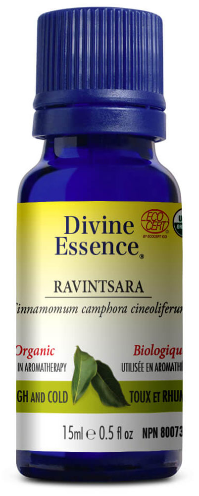 DIVINE ESSENCE Ravintsara (Organic - 15 ml)